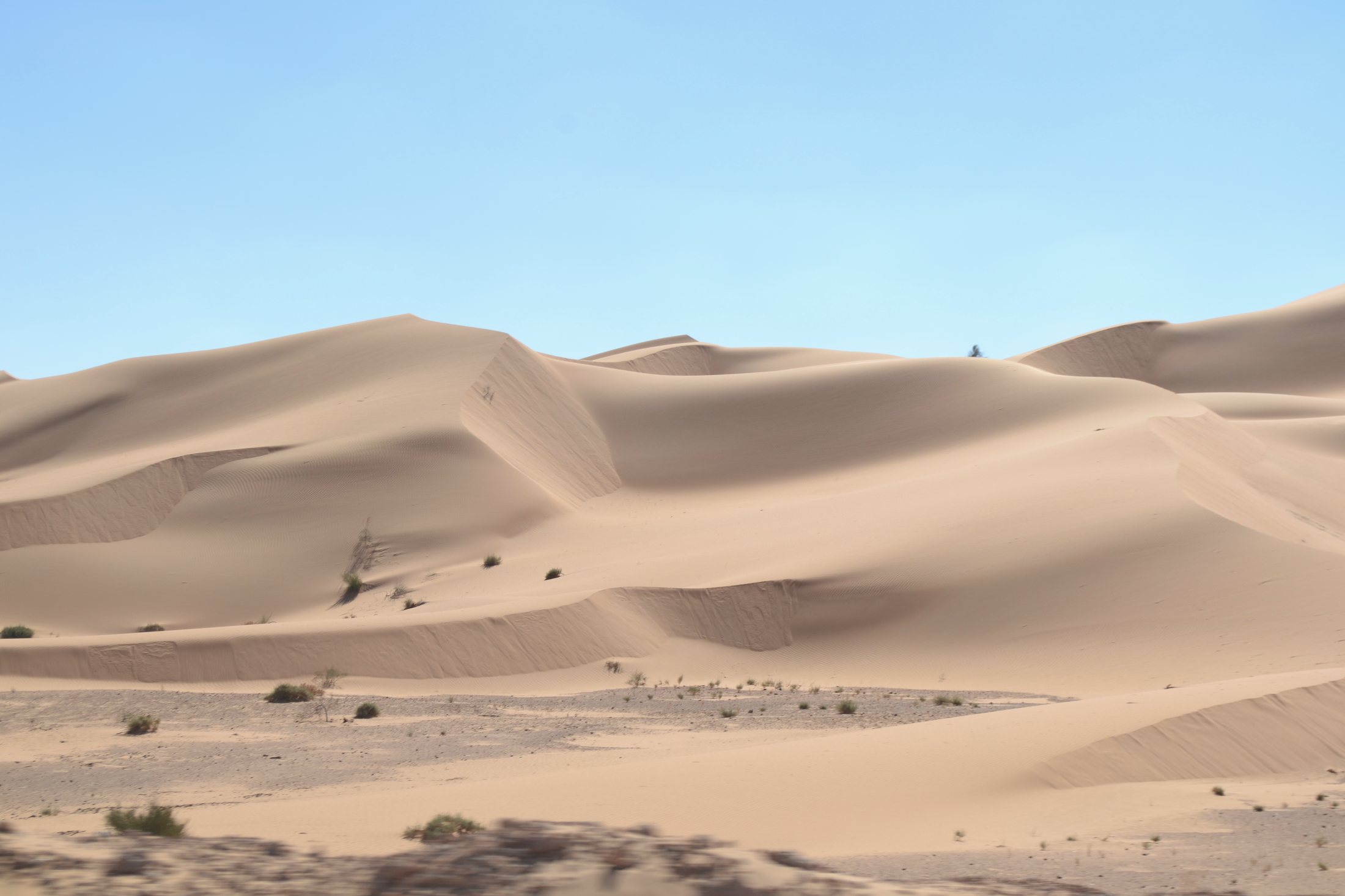 Dunes at Taghit, 150 metres high, part of the Grand Erg Occidental in the northwest Sahara, Algeria.