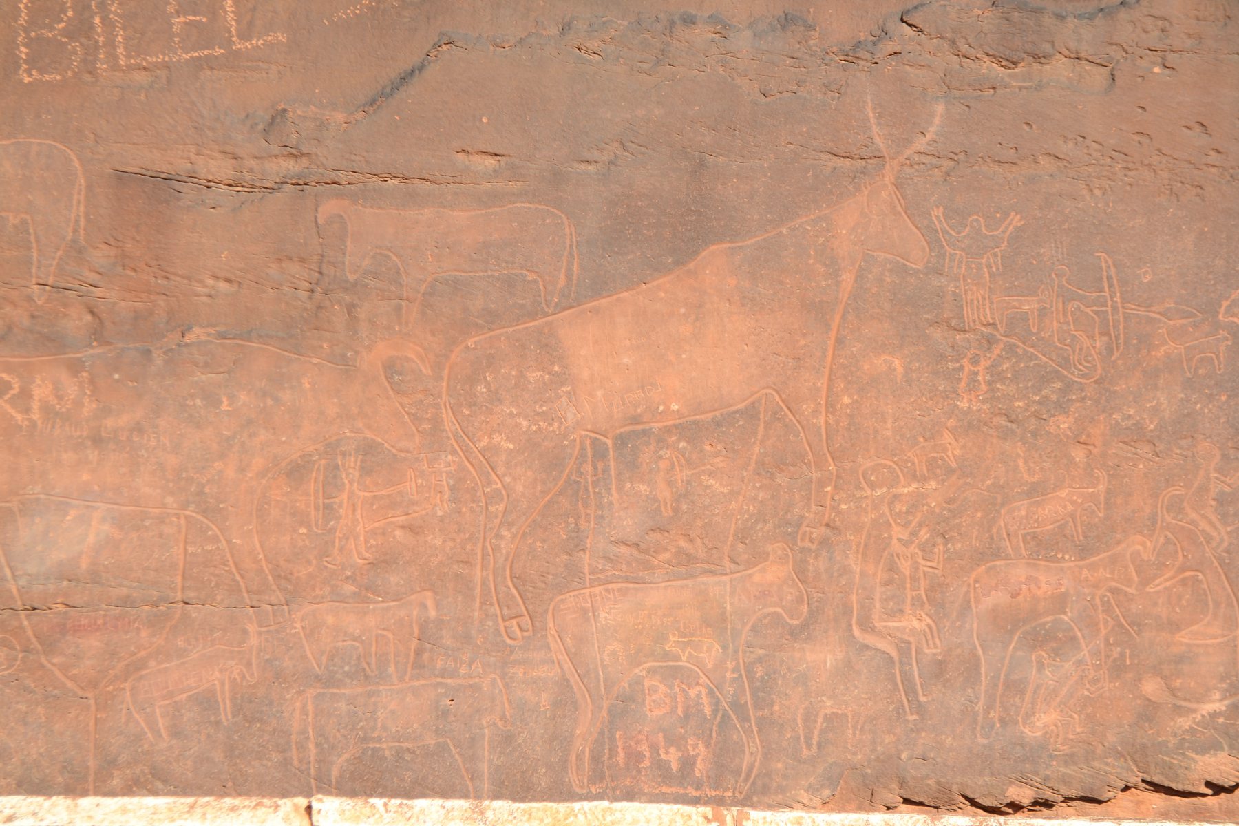 Prehistoric rock engravings on a sandstone outcrop at Tiout, near Ain Sefra, Algeria.